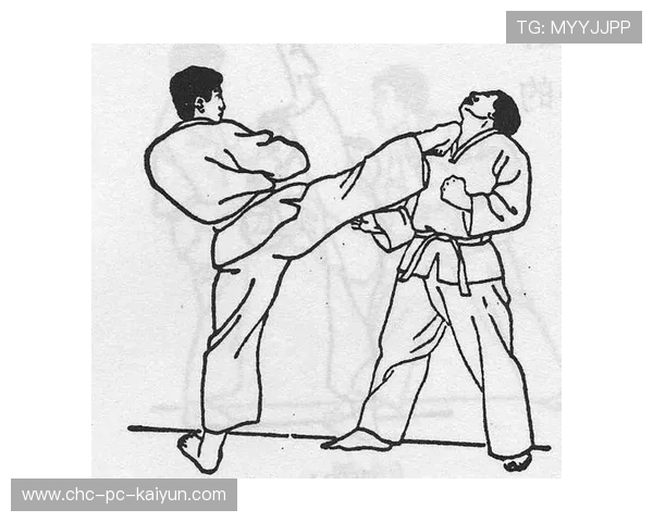武术数据统计：击打速度与得分效率，武术打法